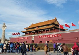 女排比赛