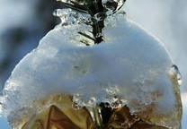 2022年冬残奥会，冰雪之巅的激情与梦想