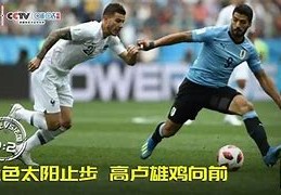 咪咕会员欧洲杯的数字观赛新体验
