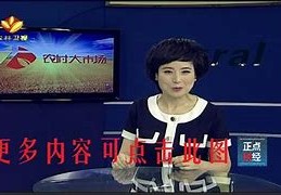 陕西卫视直播频道