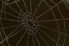 彩票预测，科学与直觉的结合