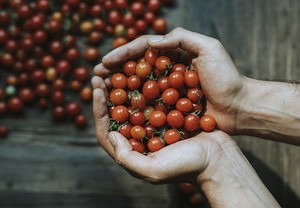西安疫情动态，了解最新情况，共同守护健康