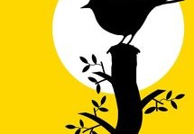 体育与文化的融合：武术比赛中的身心交融