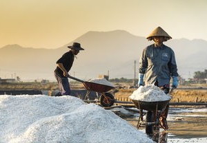 农民新篇章，迈向更加火热的生活