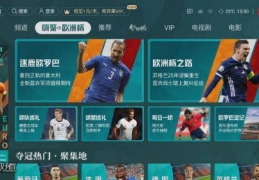 哪里可以看欧洲杯直播