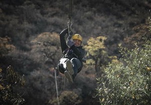 女子100米仰泳决赛见证速度与激情