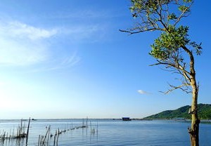 掌握疫情动态，如何查询全国疫情高峰感染高峰进度