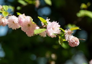 河北省疫情新动态，守护健康，共筑防线