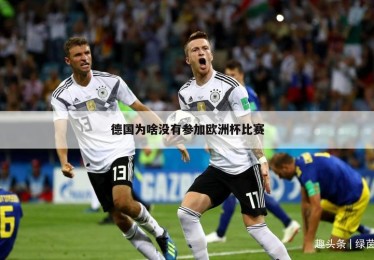 欧洲杯怎么没比赛了呢知乎