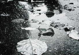 浙江舟山为防台风万人大撤离，未雨绸缪的防抗台风行动