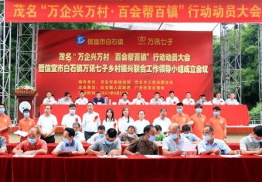 广东省“百县千镇万村系列赛——千镇乒乓球赛茂名市高州市级赛