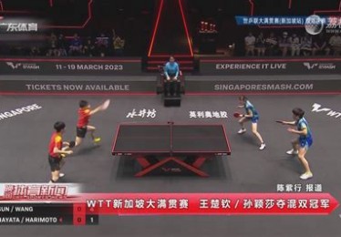 欧洲杯八强篮球明星有哪些名字