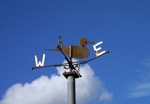 探索比赛直播的魅力，技术、体验与未来趋势