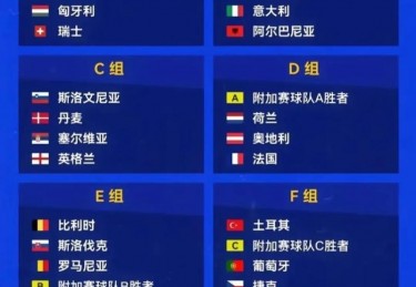 欧洲杯小组赛集锦