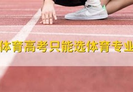 2023年体育本科线是多少