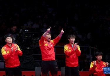 热搜第一！樊振东庆祝夺冠：年国际大赛，有始有终