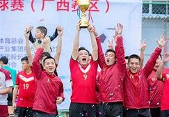活力四射全国体育先进乡镇的典范之路