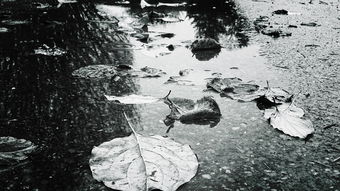 浙江舟山为防台风万人大撤离，未雨绸缪的防抗台风行动