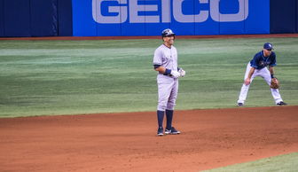 大迫勇也在哪个队_张伟分析解读_68.13.24