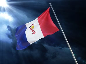 足球激情，法国与阿尔巴尼亚的对决分析