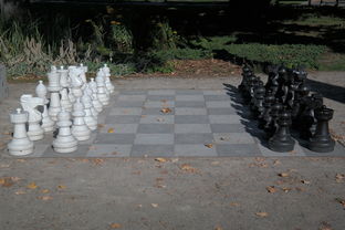 棋盘上的战争，中国象棋比赛规则全解析