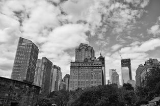 合肥疫情，共同守护这座城