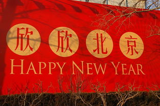 东京奥运会开幕式直播指南，锁定精彩瞬间