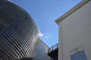 郑州新气象，城市发展与生活变迁的交响曲