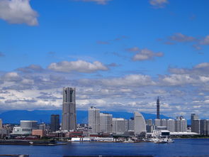 江苏疫情新动态，19例本土确诊病例背后的防控策略与公众应对