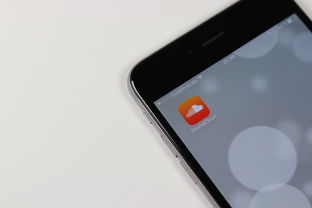 咪咕APP，免费下载的宝藏应用，开启你的数字娱乐新纪元