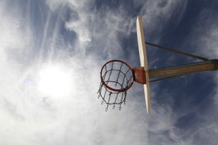 NBA巅峰对决，游戏下载指南与深入解析